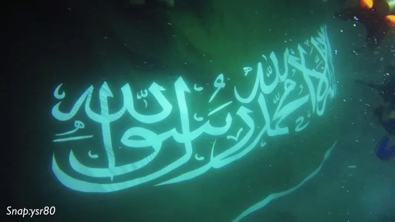 تعرف على عدد مرات دخول المملكة موسوعة غينيس (فيديو)