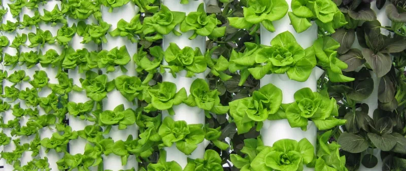 إنفوجراف| معلومات لا تعرفها عن جيف بيزوس مؤسس أمازون 