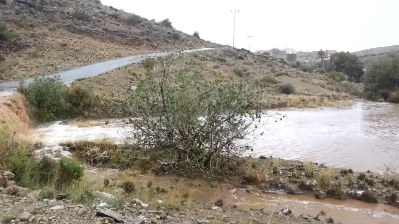 فيديو| إزالة” الحجر والشجر ” منعا لممارسة الشرك في بني سعد