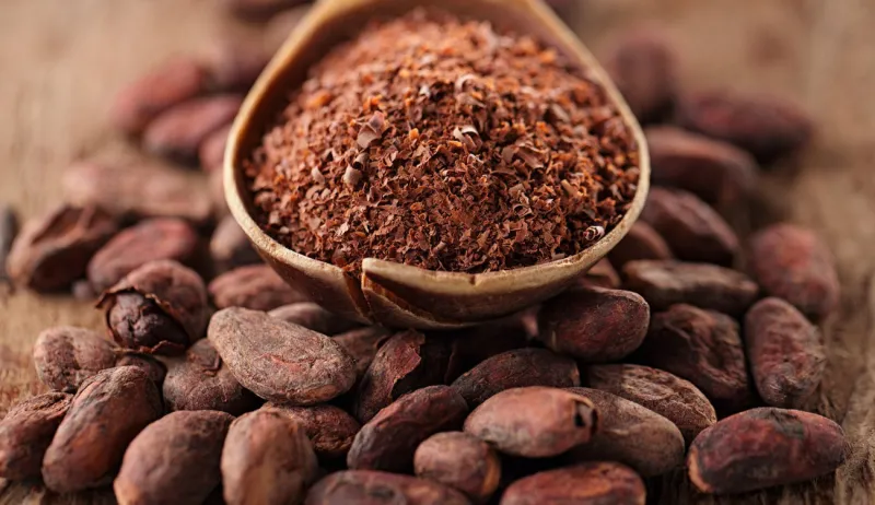 صدق أو لا تصدق.. الشوكولاتة ستختفي خلال 4 عقود