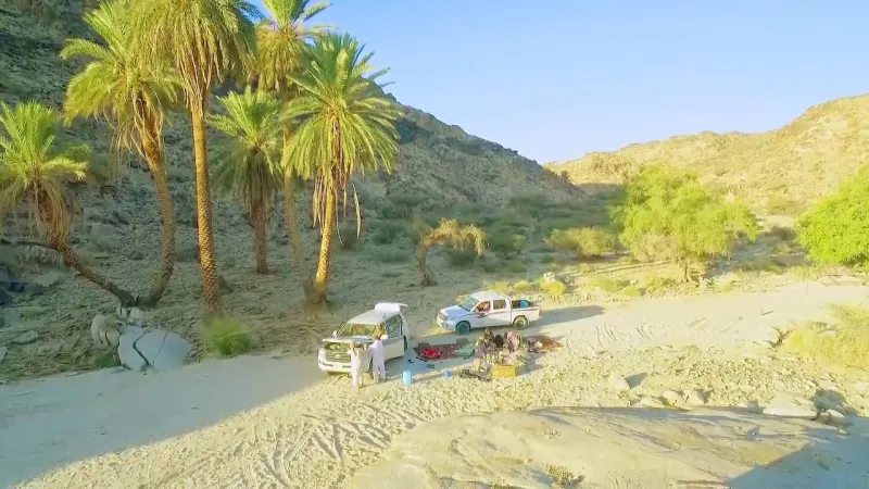 بعد الأمر الملكي بإنشاء هيئة عليا لتطويرها.. ما لا تعرفه عن «منطقة عسير».. طبيعة خلابة ومناطق آثرية فريدة