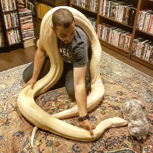 صداقة وطيدة بين إماراتي وعشرات الزواحف والثعابين الخطرة