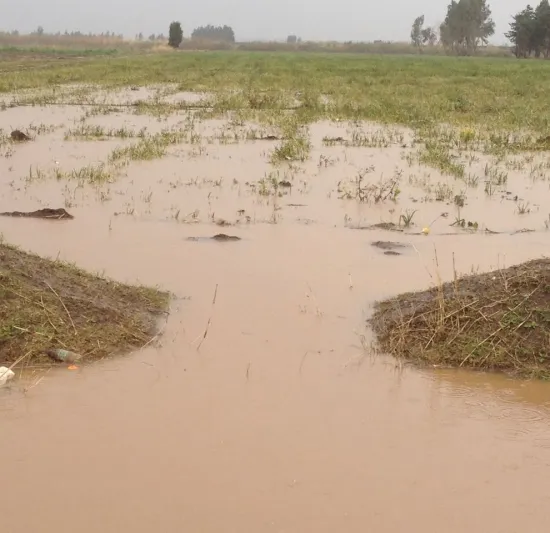 شاهد| الفيضانات تجتاح سلطنة عمان