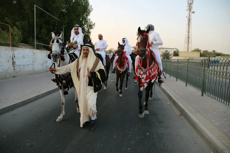 فيديو| الخيول تزف عروسين بشوارع المدينة المنورة