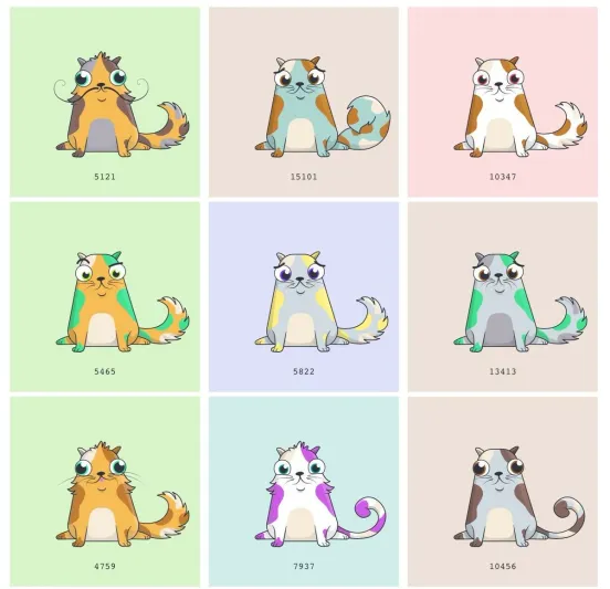 تعرف على كريبتوكيتيز عملة القطط الرقمية الجديدة