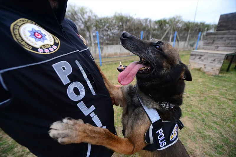 شاهد| كيف امسكت الشرطة برجل هرب منها؟