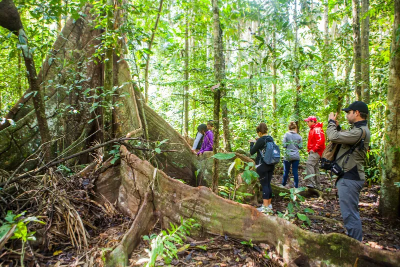 روريناباك.. عش مغامرات الأدغال الأكثر إثارة في بوليفيا
