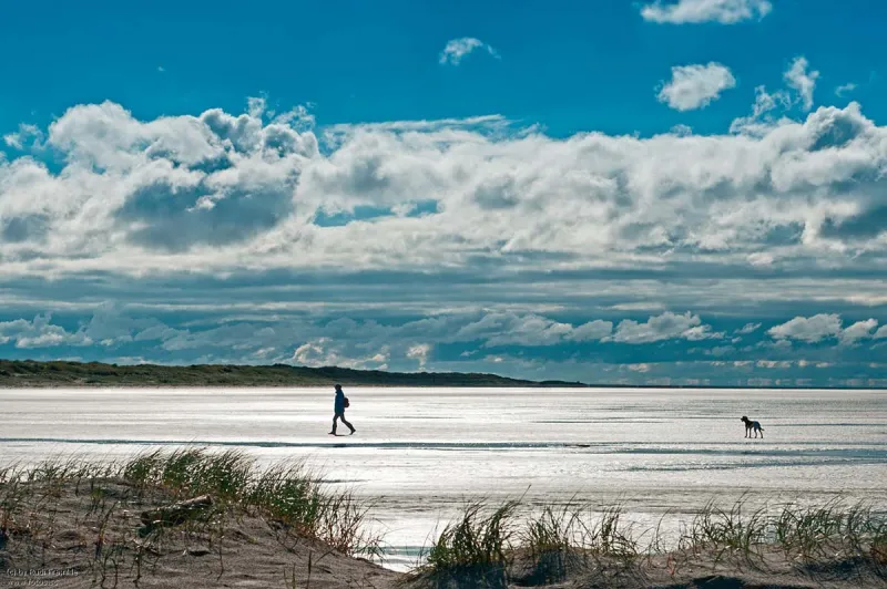 فوهر.. جزيرة تتراقص على أنغام المد والجزر