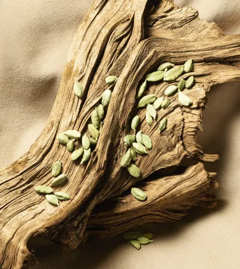 كارتييه "دِكلاراسيون" العطر الجديد للرجال 