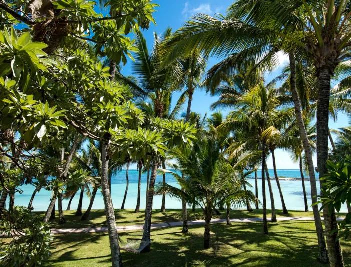 افتتاح منتجع «ون آند أونلي لو سان جيران» في موريشيوس (فيديو)