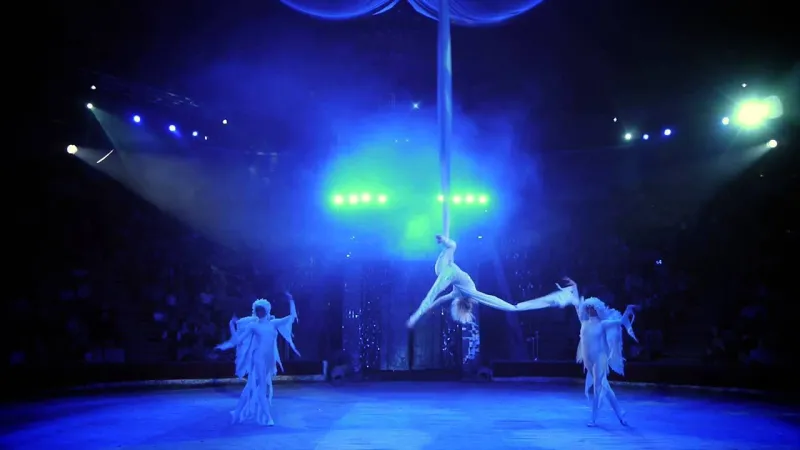 شاهد| وفاة لاعب سيرك شهير إثر سقوطه أثناء عرض بفلوريدا 