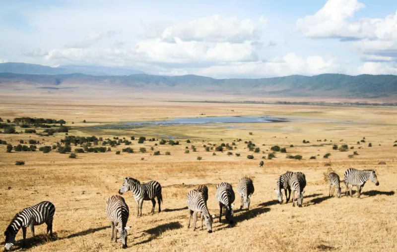 تنزانيا.. تمتع برحلة في أرض المغارات الملونة 