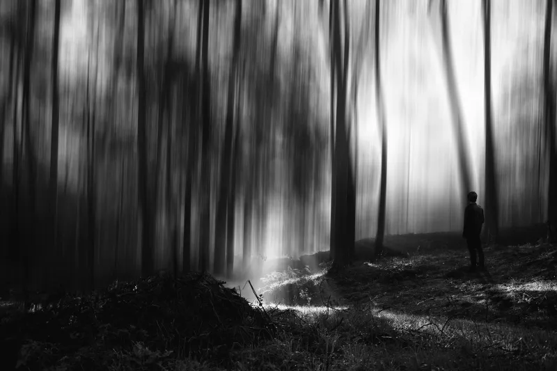 صور إنسانية مؤثرة تتصدر قائمة الفائزين في مسابقة «سوني» العالمية لعام 2018