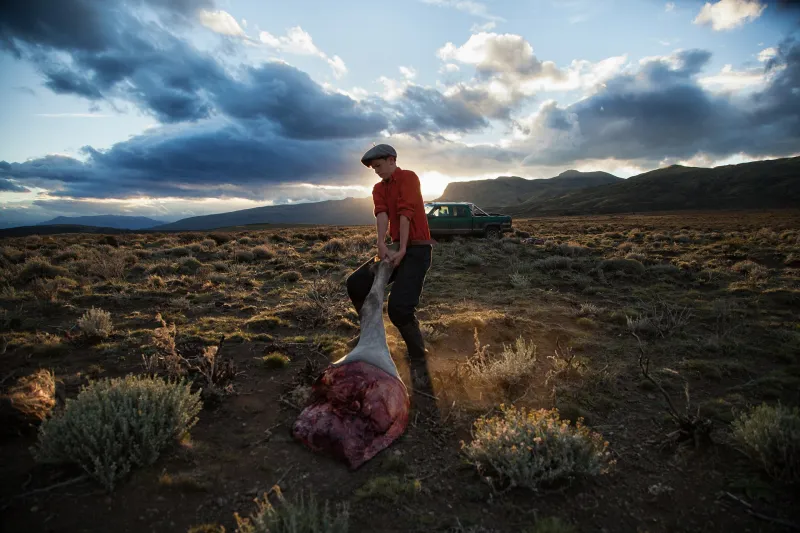 صور إنسانية مؤثرة تتصدر قائمة الفائزين في مسابقة «سوني» العالمية لعام 2018