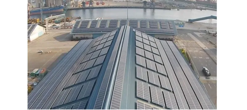 لماذا اتجهت مايكروسوفت إلى الاستثمار في الألواح الشمسية؟