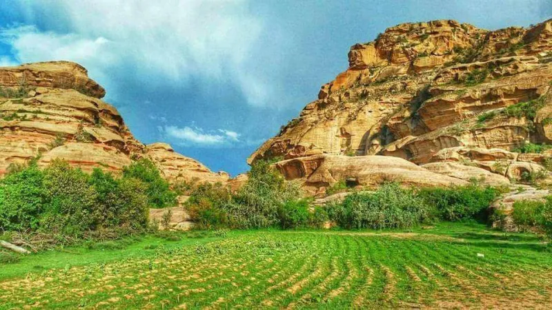 شاهد| قرية الشامية السعودية.. طبيعة خلابة ومقومات جمالية جاذبة