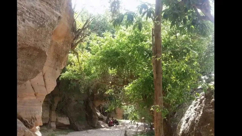 شاهد| قرية الشامية السعودية.. طبيعة خلابة ومقومات جمالية جاذبة