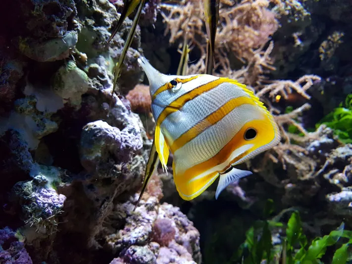 البرتغال.. جولة في جوهرة أوروبا المخفية