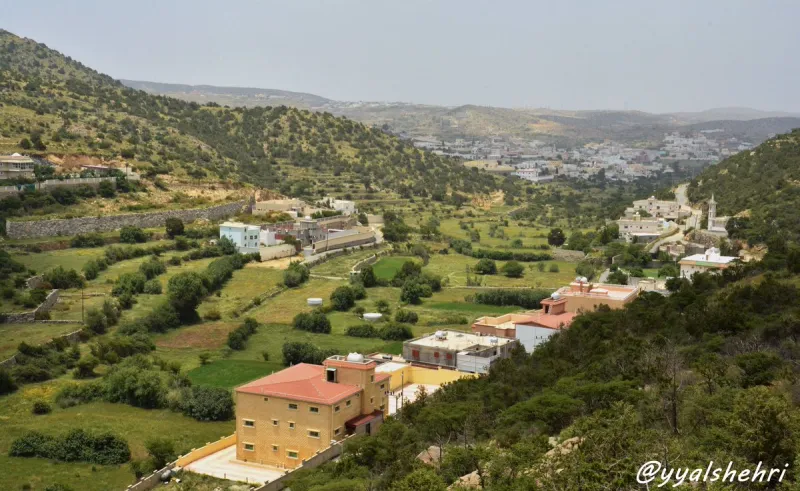 النماص مدينة الضباب.. لمسة من الجمال الساحر والطبيعة الخلابة النماص مدينة الضباب.. لمسة من الجمال الساحر والطبيعة الخلابة