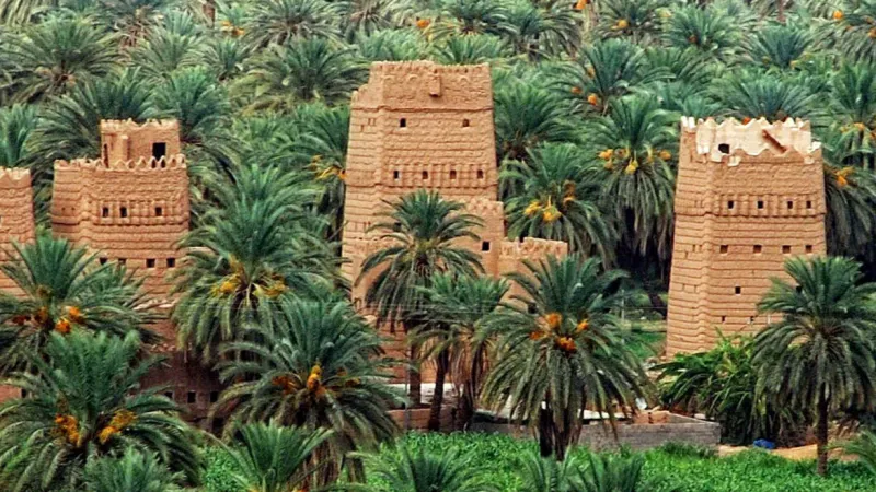 تاريخ مميز وحضارة عريقة.. أجمل المعالم السياحية بالسعودية (صور)