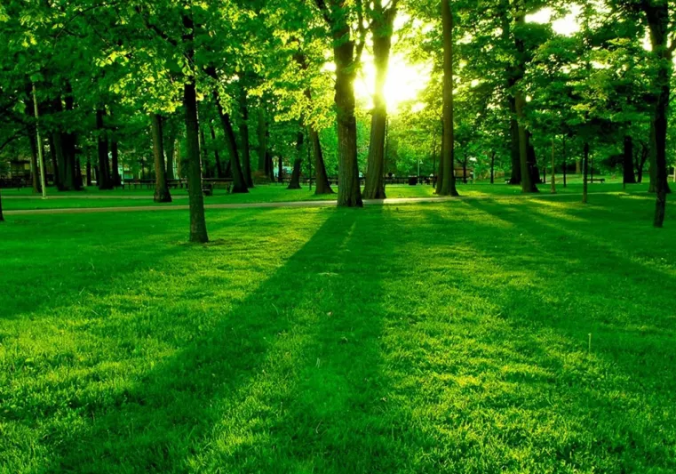 تاريخ مميز وحضارة عريقة.. أجمل المعالم السياحية بالسعودية (صور)