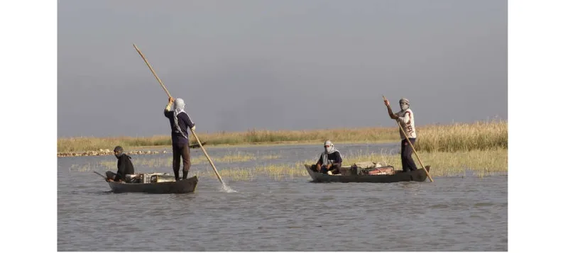 فيديو| صورة سيلفي تتسبب بحادث مروع في العراق