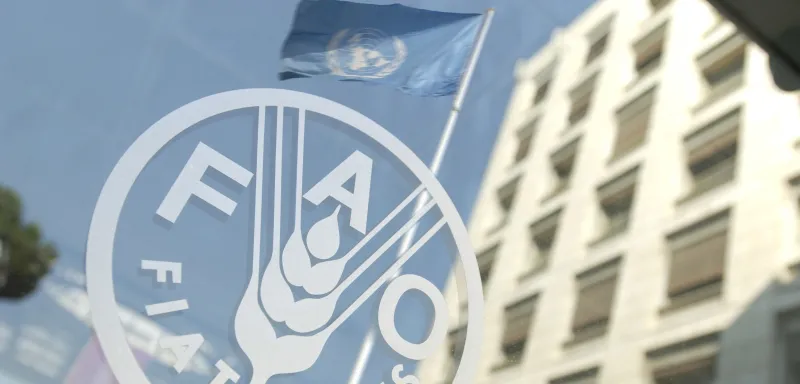 172.8 نقطة ارتفاعا في أسعار الغذاء العالمية في مارس