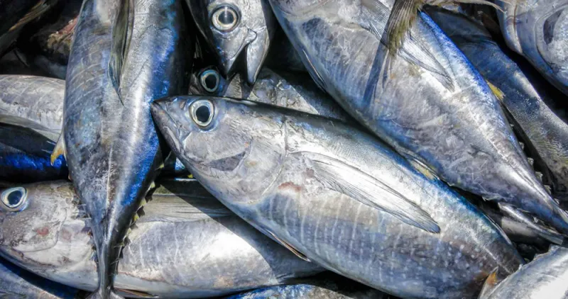 أطعمة صحية.. تناولها بكثرة يحولها لسموم قاتلة !