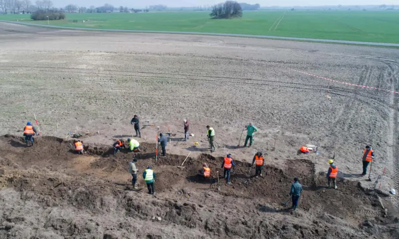 تعرف على كنز ملك البلوتوث.. مئات العملات والخواتم وقطع اللؤلؤ !