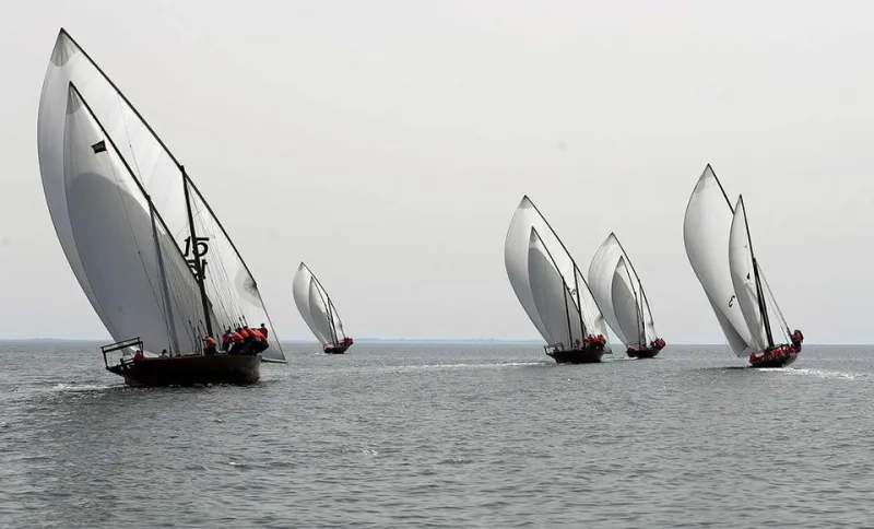 لقطات مميزة من مهرجان «الظفرة البحري» في أبوظبي (فيديو)