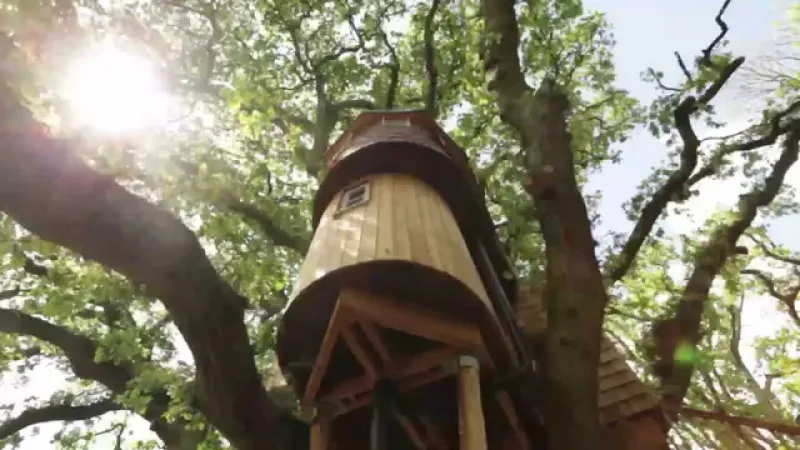 «Treetops Treehouse» أكبر منزل شجرة في العالم (فيديو)