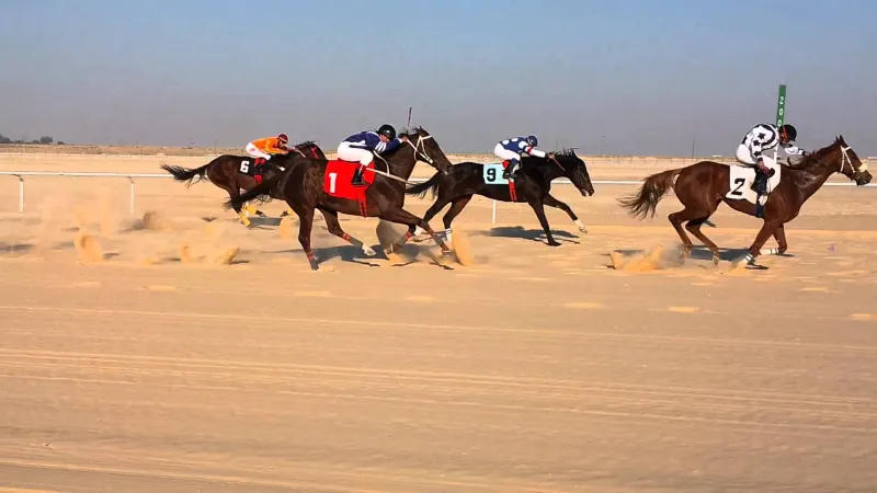 فيديو| سباق للخيل في ايطاليا ينتهي بكارثة مروعة فيديو| سباق للخيل في ايطاليا ينتهي بكارثة مروعة