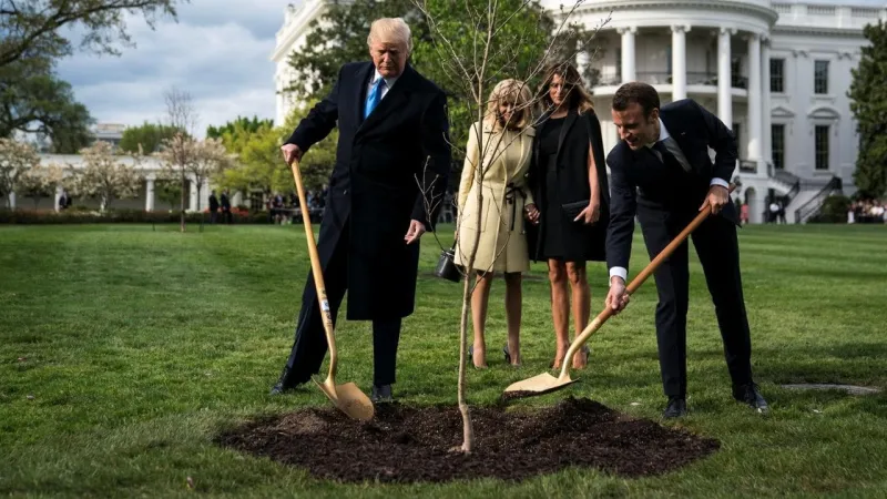 ماذا فعل ترامب بشجرة أهداها له ماكرون ؟