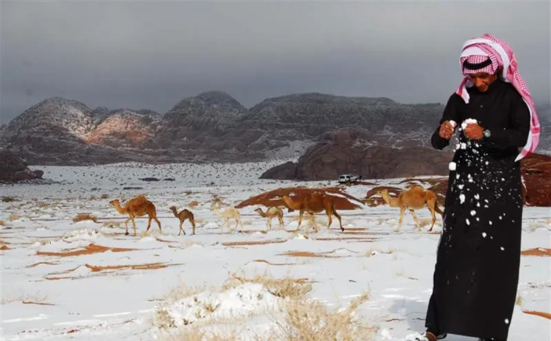 هل تصبح المملكة مكانا لتساقط الثلوج والأمطار بعد ١٥ عاماً ؟