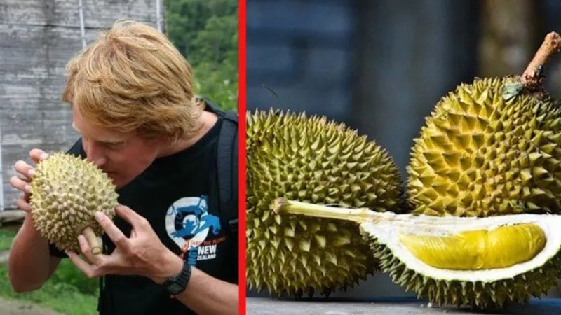 صدق أو لا تصدق.. فاكهة تتسبب في إخلاء طلاب وأساتذة جامعة أسترالية