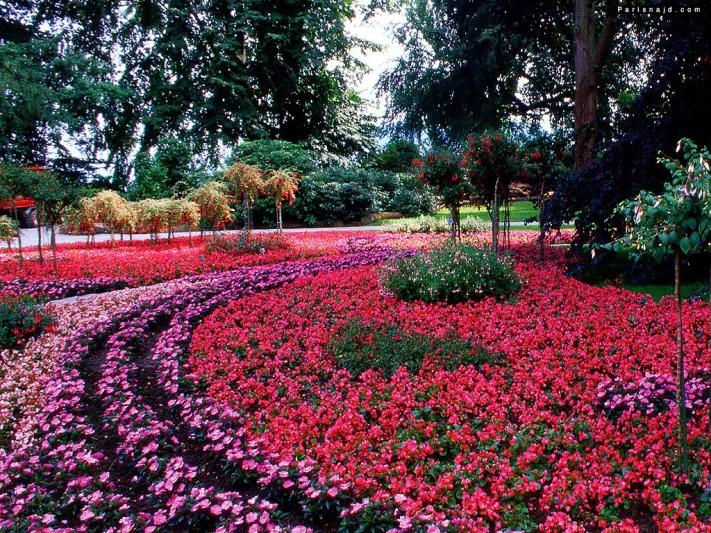 ما لم تشاهده من قبل في البيت الأبيض !