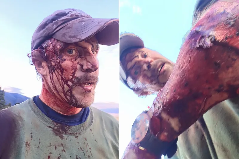 مشاهد مرعبة لدُب يفترس سائق تاكسي (فيديو)