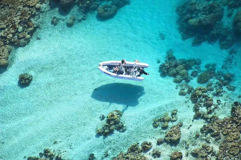 «كاليدونيا الجديدة» دوله تنتظر الانفصال عن فرنسا على يد «ماكرون» (فيديو)