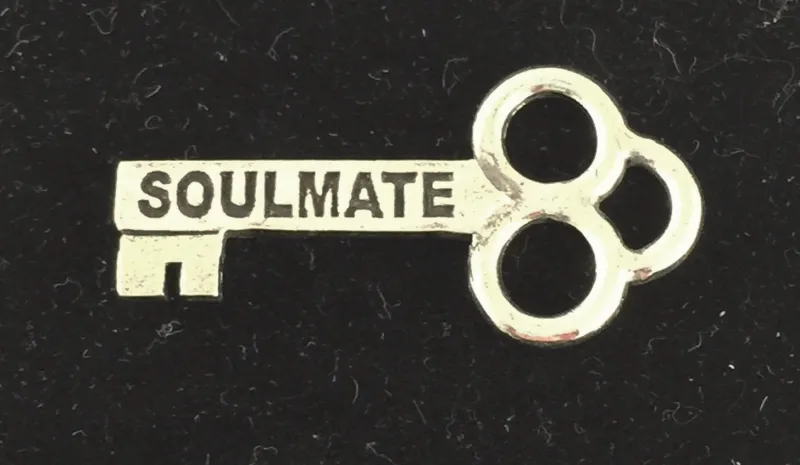 هذا هو الفرق بين التوأم الروح وشريكة الحياة ! 