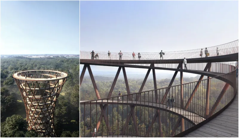 في عمل معماري رائع.. الدنمارك تشيد ناطحة سحاب خشبية في منطقة غابات