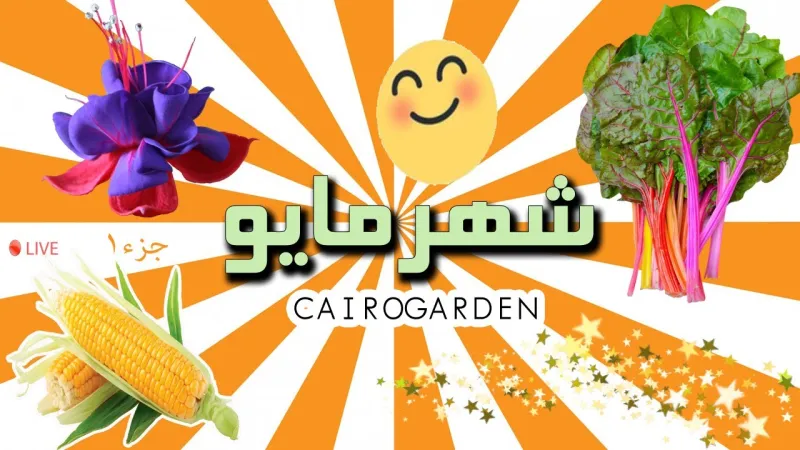 هل فكرت يوما لماذا سمي الشهر الجاري باسم مايو؟