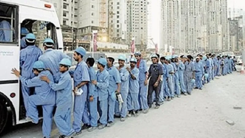 وزارة العمل توطّن 6 آلاف وظيفة مستحدثة.. تعرف عليها