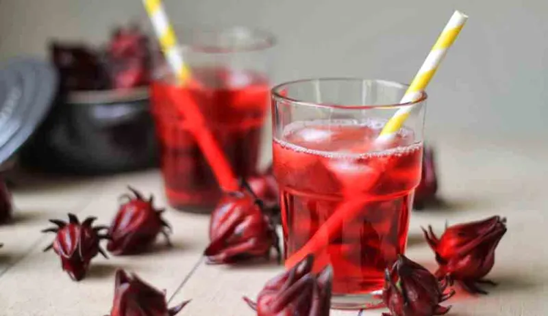 تعرف على القيمة الغذائية لمشروبات رمضان 