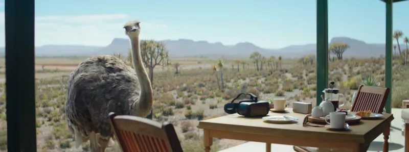 فيلم «سامسونج» النعامة يحصل على 13 جائزة عالمية (فيديو)