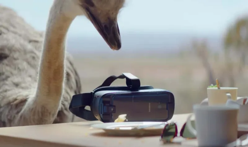 فيلم «سامسونج» النعامة يحصل على 13 جائزة عالمية (فيديو)