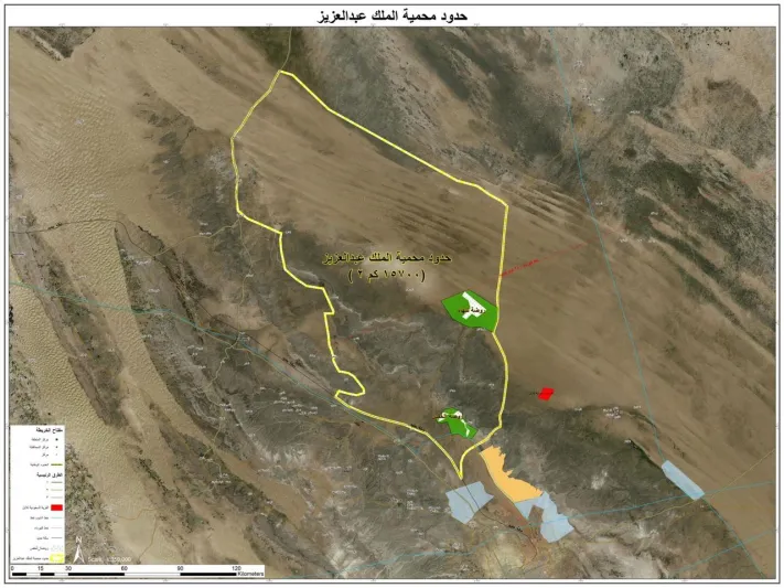 بعد أوامر الملك سلمان بحمايتها.. تعرف على استراتيجية تطوير المحميات الطبيعية