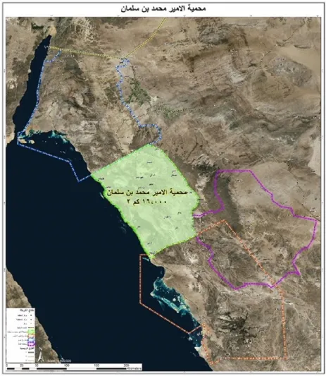 بعد أوامر الملك سلمان بحمايتها.. تعرف على استراتيجية تطوير المحميات الطبيعية
