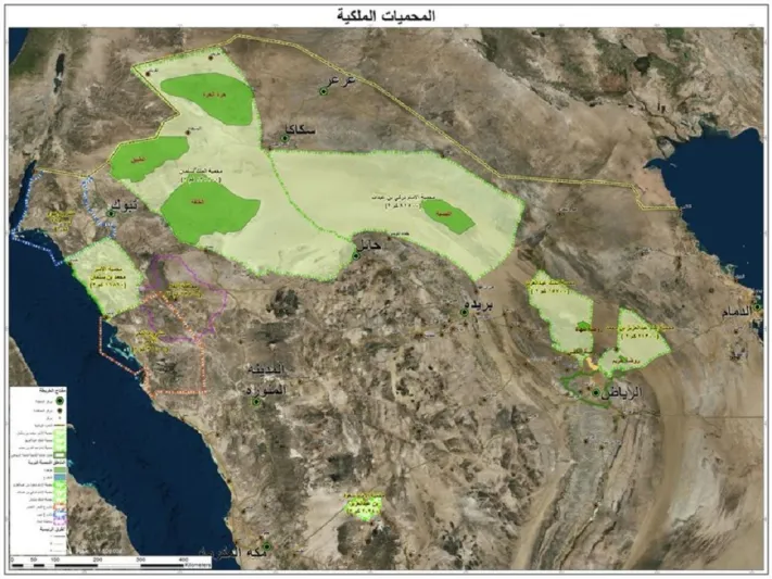 بعد أوامر الملك سلمان بحمايتها.. تعرف على استراتيجية تطوير المحميات الطبيعية