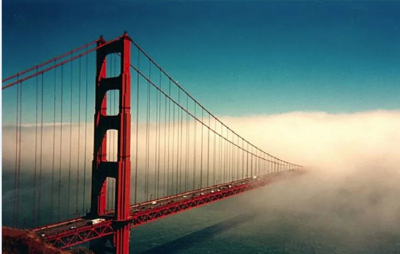 فيديو| شرطة لابورت سيتي تنقذ سيدة من الانتحار بطريقة ذكية