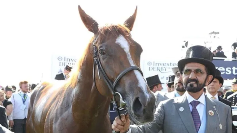 فرحة ولي عهد دبي بعد الفوز بسباق الخيول الأشهر في العالم (فيديو)